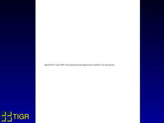 QuickTime™ and aTIFF (Uncompressed) decompressorare needed to see this picture.




TIGR
 