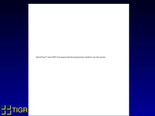 QuickTime™ and aTIFF (Uncompressed) decompressorare needed to see this picture.




TIGR
 