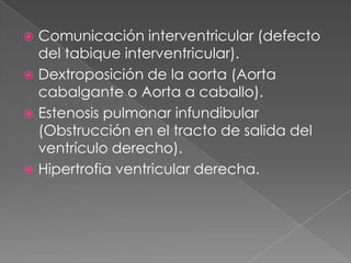 Comunicación interventricular (defecto del tabique interventricular).Dextroposición de la aorta (Aorta cabalgante o Aorta a caballo).Estenosis pulmonar infundibular (Obstrucción en el tracto de salida del ventrículo derecho).Hipertrofia ventricular derecha.