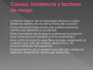 Causas, incidencia y factores de riesgoLa forma clásica de la tetralogía abarca cuatro defectos dentro de las estructuras del corazón:Comunicación interventricular (orificio entre los ventrículos derecho e izquierdo)Estrechamiento de la arteria pulmonar (conducto que comunica el corazón con los pulmones)Una aorta (conducto que lleva sangre oxigenada al cuerpo) que sale de ambos ventrículos y no exclusivamente del izquierdoEngrosamiento de la pared muscular del ventrículo derecho (hipertrofia ventricular derecha)