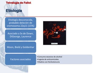 Tetralogía de Fallot


Etiología

 Etiología desconocida,
  probable deleción de
cromosoma 22q11 (15%)

 Asociado a Sx de Down,
   DiGeorge, Laurence


Moon, Bield y Goldenhar


                          • Consumo excesivo de alcohol
   Factores asociados     • Ingesta de anticomiciales
                          • Madres con fenilcetonuria
 