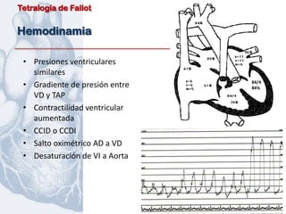Tetralogía de Fallot


Hemodinamia

 • Presiones ventriculares
   similares
 • Gradiente de presión entre   84/4
                                84%
   VD y TAP
 • Contractilidad ventricular
   aumentada
 • CCID o CCDI
 • Salto oximétrico AD a VD
 • Desaturación de VI a Aorta
 