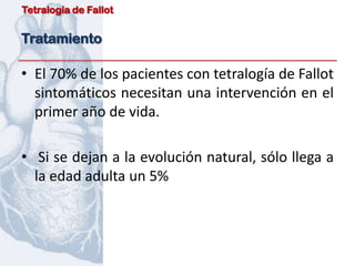 Tetralogía de Fallot


Tratamiento

• El 70% de los pacientes con tetralogía de Fallot
  sintomáticos necesitan una intervención en el
  primer año de vida.

• Si se dejan a la evolución natural, sólo llega a
  la edad adulta un 5%
 