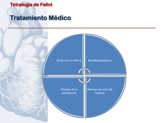 Tetralogía de Fallot


Tratamiento Médico




                       Dieta rica en hierro   Betabloqueadores




                          Manejo de la        Manejo de crisis de
                          policitemia             hipoxia
 