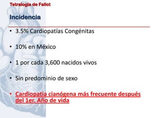Tetralogía de Fallot


Incidencia

• 3.5% Cardiopatías Congénitas

• 10% en México

• 1 por cada 3,600 nacidos vivos

• Sin predominio de sexo

• Cardiopatía cianógena más frecuente después
  del 1er. Año de vida
 