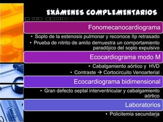 Fonomecanocardiograma
 • Soplo de la estenosis pulmonar y reconoce IIp retrasado
• Prueba de nitrito de amilo demuestra un comportamiento
                             paradójico del soplo expulsivo
                           Ecocardiograma modo M
                          • Cabalgamiento aórtico y HVD
                  • Contraste  Cortocircuito Venoarterial
                    Ecocardiograma bidimensional
    • Gran defecto septal interventricular y cabalgamiento
                                                    aórtico
                                           Laboratorios
                                  • Policitemia secundaria
                                                       18
 