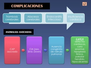 COMPLICACIONES

Trombosis      Abscesos       Endocarditis    Insuficiencia
cerebrales     cerebrales      infecciosa       cardiaca



ANOMALIAS ASOCIADAS

                                                     CATCH
                                                    defectos
                                                   cardiacos,
                                 Ausencia              cara
   CAP            CIA (aso.      congénita          anormal,
 asociado       Sínd. Down)      de válvula        hipoplasia
                                 pulmonar            tímica,
                                                    paladar
                                                    hendido,
                                                 hipocalcemia
 