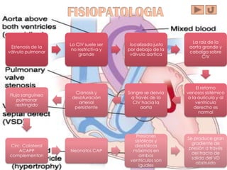 La raíz de la
                   La CIV suele ser     localizada justo
 Estenosis de la                                            aorta grande y
                    no restrictiva y   por debajo de la
válvula pulmonar                                            cabalga sobre
                       grande           válvula aortica
                                                                  CIV




                                                                El retorno
                     Cianosis y        Sangre se desvía    venosos sistémico
Flujo sanguíneo
                    desaturación        a través de la      a la aurícula y al
    pulmonar
                       arterial          CIV hacia la           ventrículo
   restringido
                     persistente             aorta             derecho es
                                                                 normal




                                           Presiones
                                                           Se produce gran
                                          sistólicas y
                                                             gradiente de
Circ. Colateral                           diastólicas
                                                            presión a través
    ACAPP          Neonatos CAP          máximas en
                                                             del tracto de
complementan                                ambos
                                                             salida del VD
                                        ventrículos son
                                                               obstruido
                                            iguales
 