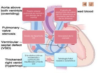 El grado de
   Presión arterial
                       obstrucción de salida
pulmonar es normal o
                       del VD determinan el
  por debajo de lo
                        momento del inicio
       normal
                          de los síntomas




Grado de Hipertrofia     Gravedad de la
       VD                   cianosis




Si la obstrucción es
     moderada y
                          Tetralogía Fallot
    cortocircuito
                       rosada o acianótica
equilibrado a través
         CIV
 