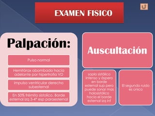Palpación:                            Auscultación
          Pulso normal

  Hemitórax abombado hacia
  adelante por hipertrofia VD          soplo sistólico
                                     intenso y áspero
  impulso ventricular derecho            en borde
          subesternal                esternal sup pero    El segundo ruido
                                     puede sonar mas           es único
                                        holosistólico
 En 50% frémito sistolico. Borde      hacia el borde
esternal izq 3-4° esp paraesternal     esternal izq inf
 