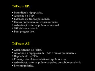 T4F com EP: Infundíbulo hipoplásico. Associado a EVP. Extensão até tronco pulmonar. Ramos pulmonares arteriais normais. Arborização arterial pulmonar normal. T4F de boa anatomia. Bom prognóstico. T4F com AP: Grau extremo do Fallot. Associado a hipoplasia de TAP  e ramos pulmonares. Dependente de PCA. Presença de colaterais sistêmico-pulmonares. Arborização arterial pulmonar pobre ou subdesenvolvida. Pior prognóstico. 