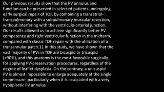 Our previous results show that the PV annulus and
function can be preserved in selected patients undergoing
early surgical repair of TOF, by combining a transatrial-
transpulmonary with a subpulmonary muscular resection,
without interfering with the ventriculo-arterial junction.
Our results allowed us to achieve significantly better PV
competence and right ventricular function in the midterm,
compared with classic TOF repair with the utilization of a
transannular patch.11 In this study, we have shown that the
vast majority of PVs in TOF are bicuspid or tricuspid
(>90%), and this anatomy is the most favorable surgically
for applying PV-preservation procedures, regardless of the
degree of leaflet dysplasia. On the contrary, a unicuspid
PV is almost impossible to enlarge adequately at the single
commissure, particularly when it is associated with a very
hypoplastic PV annulus
 