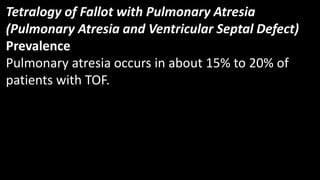 Tetralogy of Fallot with Pulmonary Atresia
(Pulmonary Atresia and Ventricular Septal Defect)
Prevalence
Pulmonary atresia occurs in about 15% to 20% of
patients with TOF.
 