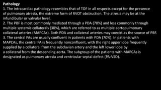 Pathology
1. The intracardiac pathology resembles that of TOF in all respects except for the presence
of pulmonary atresia, the extreme form of RVOT obstruction. The atresia may be at the
infundibular or valvular level.
2. The PBF is most commonly mediated through a PDA (70%) and less commonly through
multiple systemic collaterals (30%), which are referred to as multiple aortopulmonary
collateral arteries (MAPCAs). Both PDA and collateral arteries may coexist as the source of PBF.
3. The central PAs are usually confluent in patients with PDA (70%). In patients with
MAPCAs, the central PA is frequently nonconfluent, with the right upper lobe frequently
supplied by a collateral from the subclavian artery and the left lower lobe by
a collateral from the descending aorta. The subgroup of the patients with MAPCAs is
designated as pulmonary atresia and ventricular septal defect (PA-VSD).
 