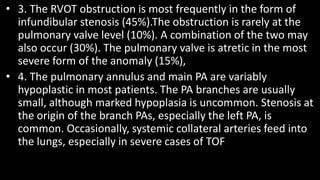 • 3. The RVOT obstruction is most frequently in the form of
infundibular stenosis (45%).The obstruction is rarely at the
pulmonary valve level (10%). A combination of the two may
also occur (30%). The pulmonary valve is atretic in the most
severe form of the anomaly (15%),
• 4. The pulmonary annulus and main PA are variably
hypoplastic in most patients. The PA branches are usually
small, although marked hypoplasia is uncommon. Stenosis at
the origin of the branch PAs, especially the left PA, is
common. Occasionally, systemic collateral arteries feed into
the lungs, especially in severe cases of TOF
 