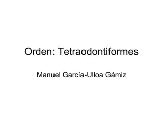 Orden: Tetraodontiformes

  Manuel García-Ulloa Gámiz
 