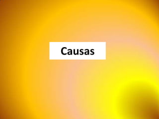 Causas
 