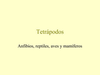 Tetrápodos
Anfibios, reptiles, aves y mamíferos
 