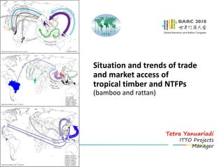 Situation and trends of trade
and market access of
tropical timber and NTFPs
(bamboo and rattan)
Tetra Yanuariadi
ITTO Projects
Manager
 