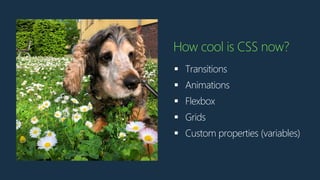 ▪ Transitions
▪ Animations
▪ Flexbox
▪ Grids
▪ Custom properties (variables)
How cool is CSS now?
 