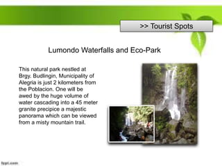 >> Tourist Spots
Lumondo Waterfalls and Eco-Park
This natural park nestled at
Brgy. Budlingin, Municipality of
Alegria is just 2 kilometers from
the Poblacion. One will be
awed by the huge volume of
water cascading into a 45 meter
granite precipice a majestic
panorama which can be viewed
from a misty mountain trail.
 