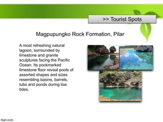>> Tourist Spots
Magpupungko Rock Formation, Pilar
A most refreshing natural
lagoon, sorrounded by
limestone and granite
sculptures facing the Pacific
Ocean, Its pockmarked
limestone floor reveal pools of
assorted shapes and sizes
resembling basins, barrels,
tubs and ponds during low
tides.
 