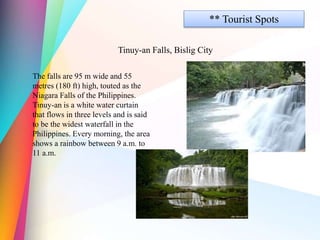 ** Tourist Spots
Tinuy-an Falls, Bislig City
The falls are 95 m wide and 55
metres (180 ft) high, touted as the
Niagara Falls of the Philippines.
Tinuy-an is a white water curtain
that flows in three levels and is said
to be the widest waterfall in the
Philippines. Every morning, the area
shows a rainbow between 9 a.m. to
11 a.m.
 