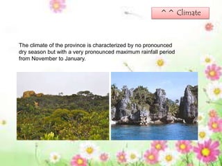 ^^ Climate
The climate of the province is characterized by no pronounced
dry season but with a very pronounced maximum rainfall period
from November to January.
 