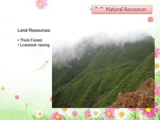 ^^ Natural Resources
Land Resources
• Thick Forest
• Livestock raising
 