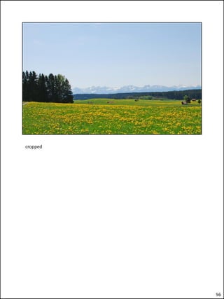 cropped




          56
 