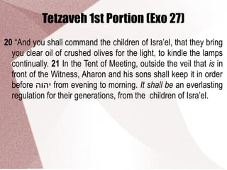 Tetzaveh 1st Portion (Exo 27)
20 “And you shall command the children of Isra’el, that they bring
you clear oil of crushed olives for the light, to kindle the lamps
continually. 21 In the Tent of Meeting, outside the veil that is in
front of the Witness, Aharon and his sons shall keep it in order
before ‫יהוה‬ from evening to morning. It shall be an everlasting
regulation for their generations, from the children of Isra’el.
 