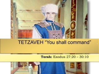 TETZAVEH “You shall command” .
Torah: Exodus 27:20 – 30:10 .
 