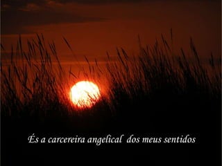 És a carcereira angelical dos meus sentidos
 