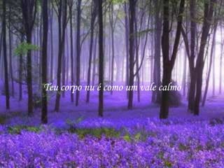 Teu corpo nu é como um vale calmo
 