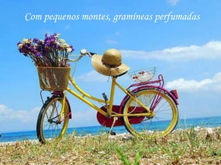 Com pequenos montes, gramíneas perfumadas
 
