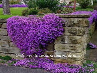 Onde o vento sussurra canções de ninar
 