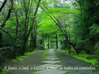A fonte, o imã, o êxtase, o final de todos os caminhos.
 