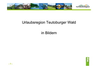 Urlaubsregion Teutoburger Wald




      Urlaubsregion Teutoburger Wald

                   in Bildern




-1-
 