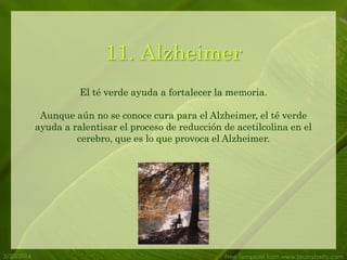 5/20/2014 Free Template from www.brainybetty.com
11. Alzheimer
El té verde ayuda a fortalecer la memoria.
Aunque aún no se conoce cura para el Alzheimer, el té verde
ayuda a ralentisar el proceso de reducción de acetilcolina en el
cerebro, que es lo que provoca el Alzheimer.
 