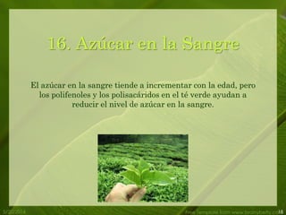 5/20/2014 Free Template from www.brainybetty.com18
16. Azúcar en la Sangre
El azúcar en la sangre tiende a incrementar con la edad, pero
los polifenoles y los polisacáridos en el té verde ayudan a
reducir el nivel de azúcar en la sangre.
 