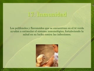 5/20/2014 Free Template from www.brainybetty.com
17. Inmunidad
Los polifenoles y flavonoides que se encuentran en el té verde
ayudan a estimular el sistema inmunológico, fortaleciendo la
salud en su lucha contra las infecciones.
 