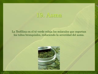 5/20/2014 Free Template from www.brainybetty.com
19. Asma
La Teofilina en el té verde relaja los músculos que soportan
los tubos bronquiales, reduciendo la severidad del asma.
 