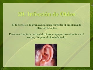 5/20/2014 Free Template from www.brainybetty.com
20. Infección de Oídos
El té verde es de gran ayuda para combatir el problema de
infección de oídos.
Para una limpieza natural de oídos, empapar un cotonete en té
verde y limpiar el oído infectado.
 