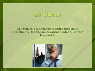 5/20/2014 Free Template from www.brainybetty.com
23. Stress
La L-teanina, que es un tipo de amino ácido que se
encuentra en el té verde, puede ayudar a reducir el stress y
la ansiedad.
 