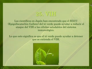5/20/2014 Free Template from www.brainybetty.com
25. VIH
Los científicos en Japón han encontrado que el EGCC
(Epigallocatechin Gallate) del té verde puede ayudar a reducir el
ataque del VIH a las células saludables del sistema
inmunológico.
Lo que esto significa es que el té verde puede ayudar a detener
que se extienda el VIH.
 