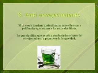 5/20/2014 Free Template from www.brainybetty.com
El té verde contiene antioxidantes conocidos como
polifenoles que atacan a los radicales libres.
Lo que significa que ayuda a combatir los efectos del
envejecimiento y promueve la longevidad.
3. Anti envejecimiento
 