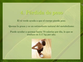 5/20/2014 Free Template from www.brainybetty.com
4. Pérdida de peso
El té verde ayuda a que el cuerpo pierda peso.
Quema la grasa y es un estimulante natural del metabolismo.
Puede ayudar a quemar hasta 70 calorías por día, lo que se
traduce en 3.17 kg por año.
 