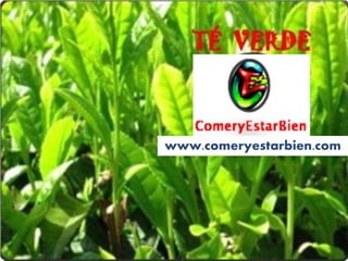 www.comeryestarbien.com