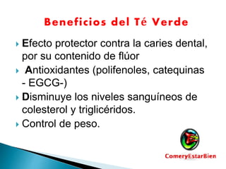  Efecto protector contra la caries dental,
por su contenido de flúor
Antioxidantes (polifenoles, catequinas
- EGCG-)
Disminuye los niveles sanguíneos de
colesterol y triglicéridos.
Control de peso.
Beneficios del Té Verde