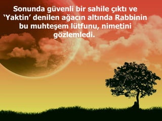 Sonunda güvenli bir sahile çıktı ve ‘Yaktin’ denilen ağacın altında Rabbinin bu muhteşem lütfunu, nimetini gözlemledi.  